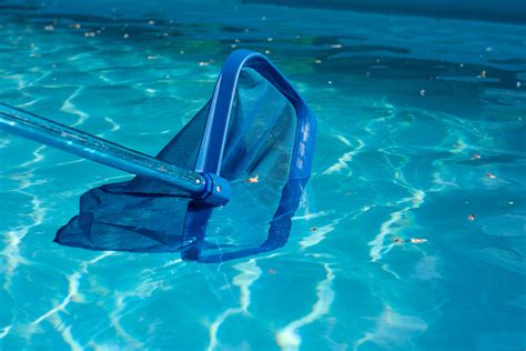 How To Get Rid Of Water Bugs In Your Pool Zodiac Australia