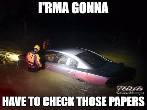 Funny Memes About Hurricane Irma Meme Walls