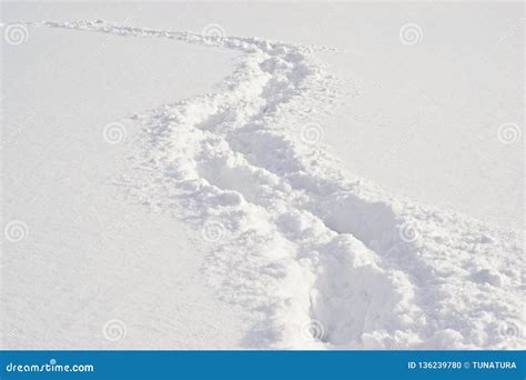 Pathway And Foot Prints In The Deep Fresh Snow Stock Photo Image Of