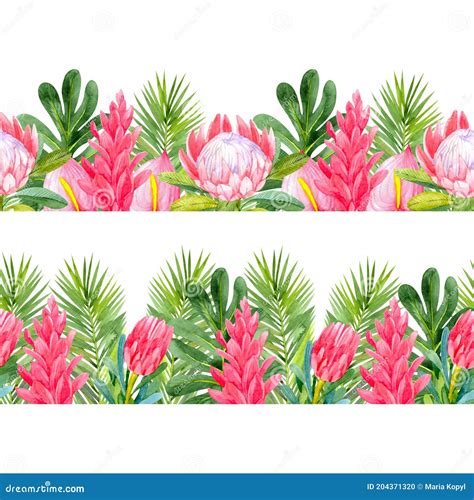Seamless Borders With Bright Tropical Flowers And Leaves Stock Photo