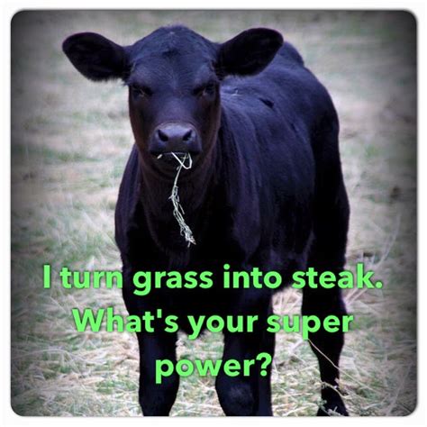 Friday Funny Farm Funnies Panhandle Agriculture