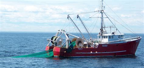 Us On Path To Sustainable Commercial Fishing Waters