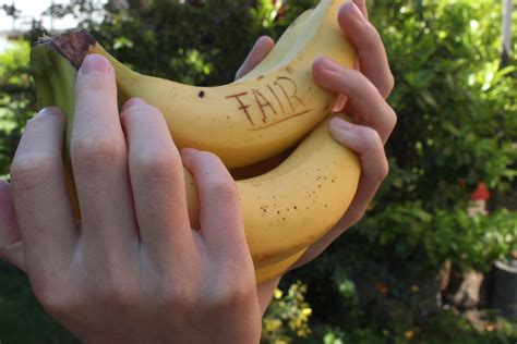 Digitales Lernquiz zu fairen Bananen - hamburg mal fair