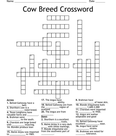 Cow Breed Crossword Wordmint