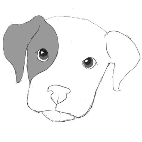 Quick Way To Draw A Dog Just For Guide
