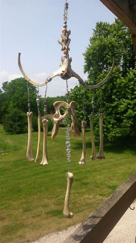 Bone Wind Chime Bone Sculpture Taxidermy Oddities Real Animal