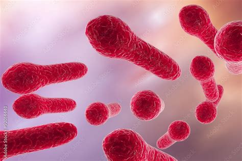 Digital Illustration Of Clostridium Tetani Clostridium Perfringes
