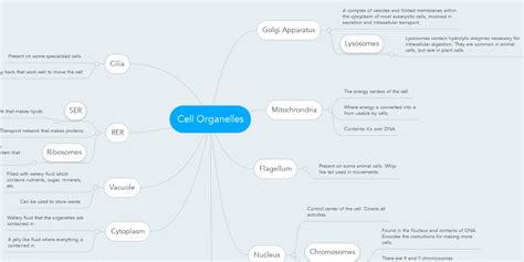 Cell Organelles Mindmeister Mind Map
