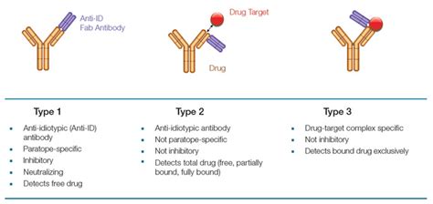 Anti Drug Antibodies Bio Rad