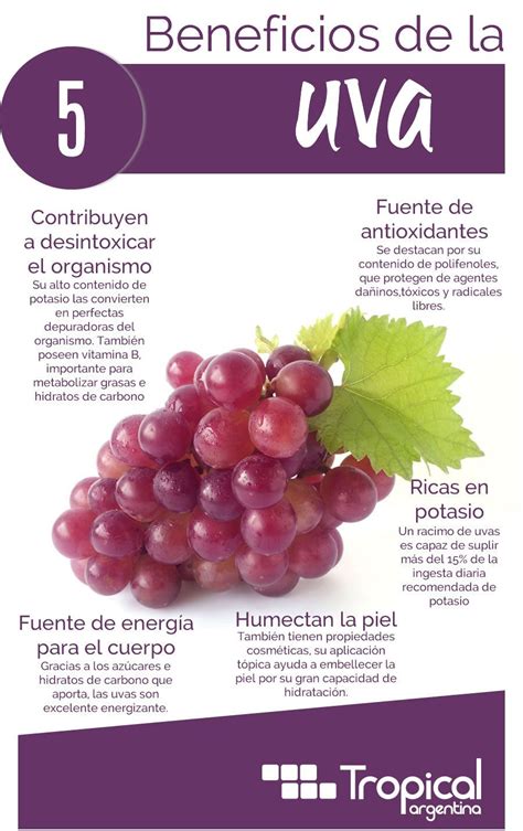 Beneficios De Las Uvas Frutas Y Verduras Beneficios Beneficios De