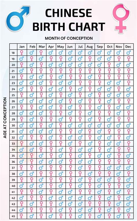 Baby Chinese Calendar 2024 In 2025 The Academic Calendar Will Begin