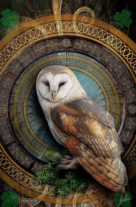 Pin By M Von D On Crows And Owls Owl Art Owl Artwork Owl