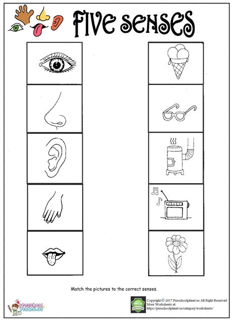 Printable Five Senses Worksheet Preschoolplanet