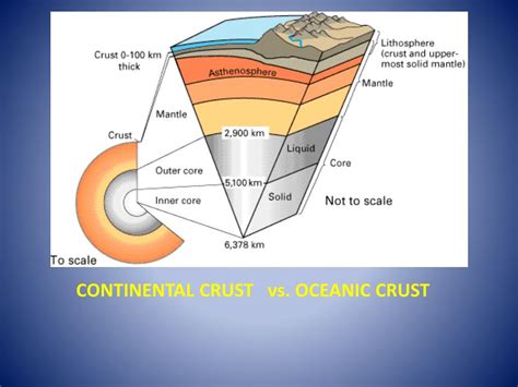 Ppt Continental Crust Vs Oceanic Crust Powerpoint Presentation Free