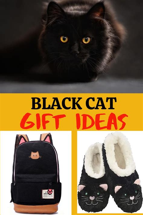 Black Cat T Ideas Black Cat Lover Cat Ts Black Cat