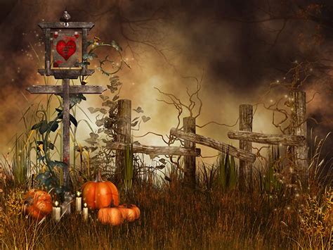 New Halloween Pumpkin Theme Wilderness Photography Backdrop Sale