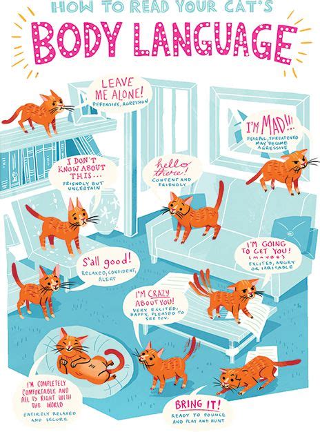 How To Read Your Cat S Body Language Modern Cat Cat Behavior Cat Body Cat Facts