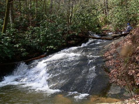 24 Stunning Waterfalls In South Carolina Congaree National Park Angel