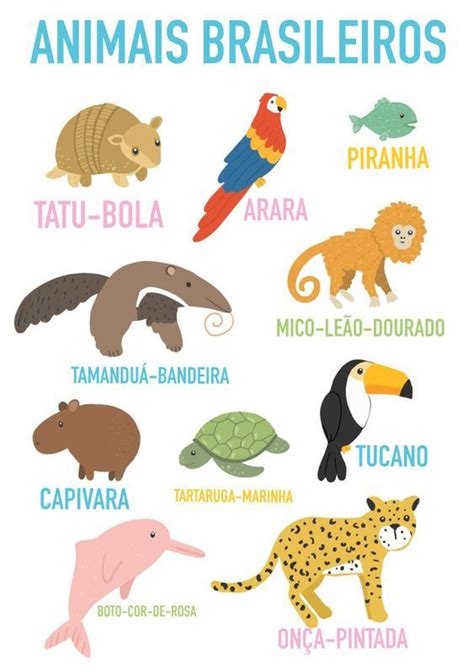 Introduzir Imagem Desenhos De Animais Brasileiros Br Thptnganamst Edu Vn
