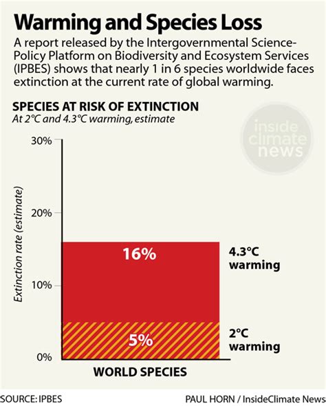 Humanity Faces A Biodiversity Crisis Climate Change Makes It Worse