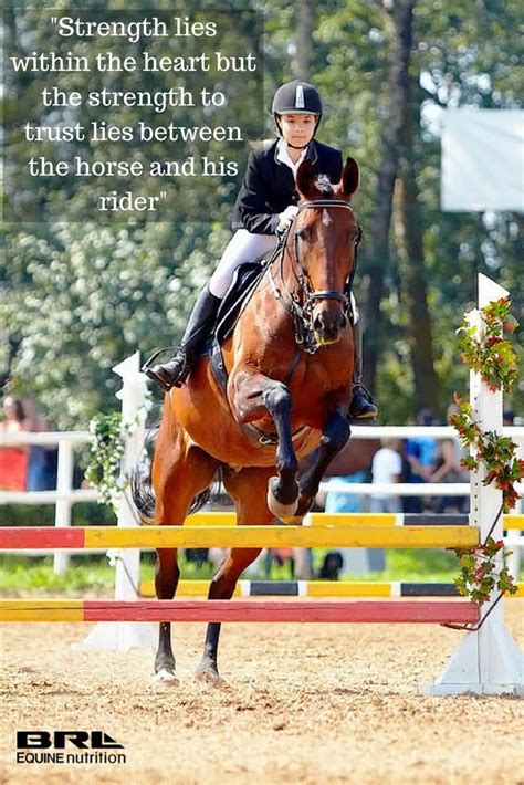 Horse Jumping Quotes Meme Image 16 Quotesbae