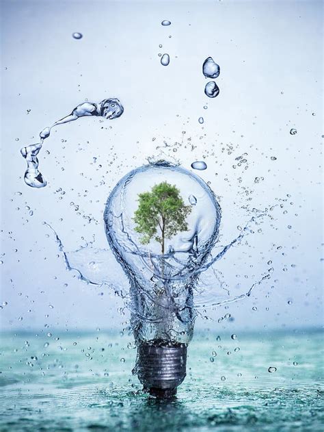 Bulb Led Lamp With Tree Inside With Water Splashes Stock Photo Image