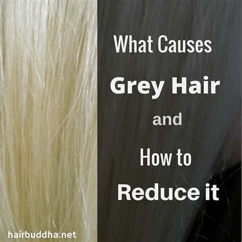 What Causes Grey Hair 5 Ways To Reduce It Hair Buddha