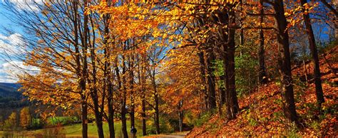 10 Of The Top Destinations To See Fall Foliage In The Northeast Us