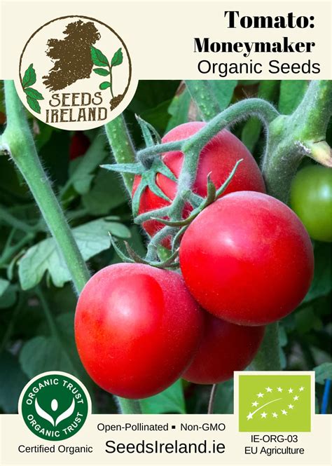 Moneymaker Heirloom Tomato Seeds Ireland Organic Vegetable Seed