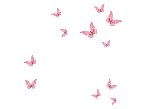 View 30 Wallpaper Pink Butterfly White Background Homersirpics