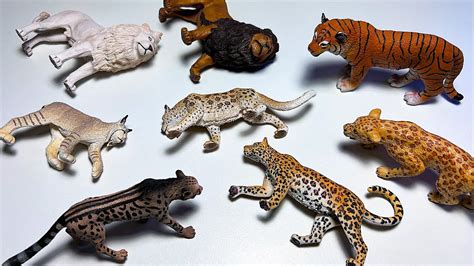 Bigs Cats And Wild Cats Collection Lion Leopard Cheetah Jaguar