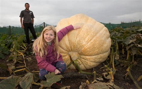 Giant Pumpkin Grown From Most Expensive Seed Expected To Break Uk Record