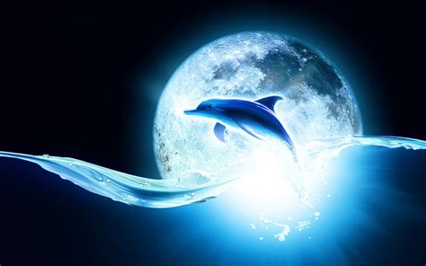 Download our free software and turn videos into your desktop wallpaper! animated dolphin wallpaper - HD Desktop Wallpapers | 4k HD