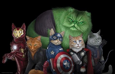 Cat Superheroes Cat Superheroes