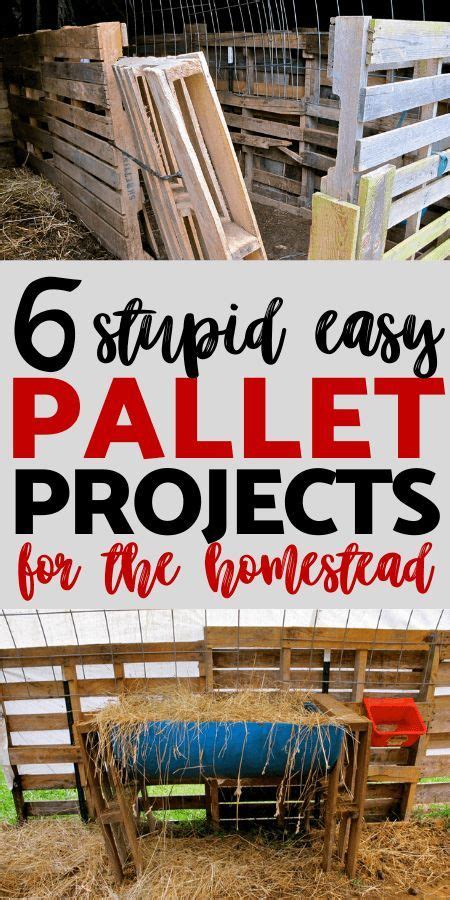6 Quick And Easy Pallet Projects For The Homestead In 2023 Pallet