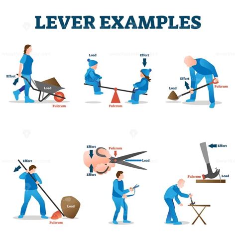 Levers Classification As Physics Force And Effort Explanation Outline