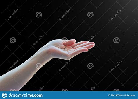 Empty Open Human Hands With Palm Raised Upward In Holding Posture On