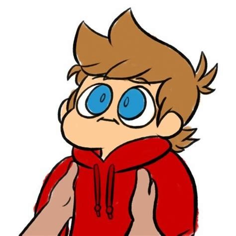 Neko Tord 🌎eddsworld🌎 Amino