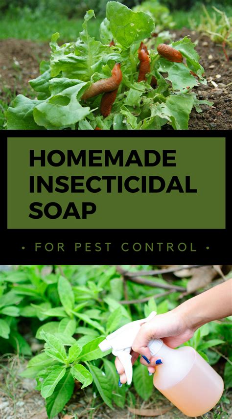 Homemade Insecticidal Soap For Pest Control