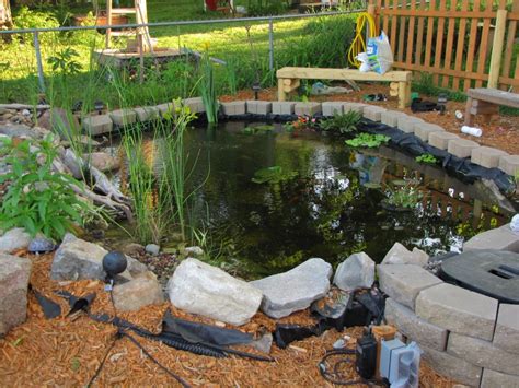 View Topic Our Outdoor Pond Turtle Habitat