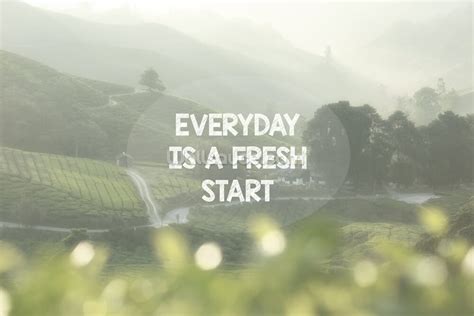 Everyday Is A Fresh Start Mural Wallsauce Us