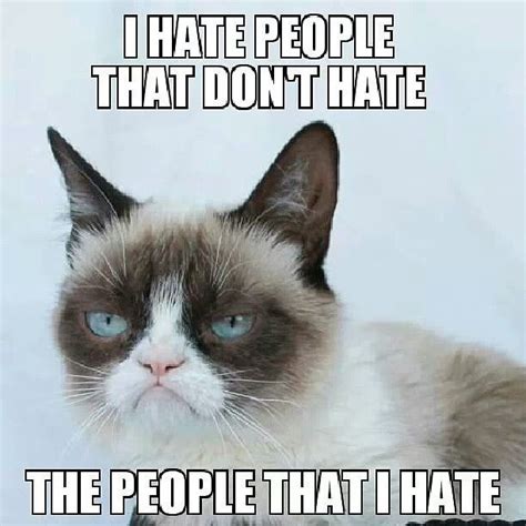 More Grumpy Funny Mom Memes Cat Quotes Funny Cat Memes Grumpy