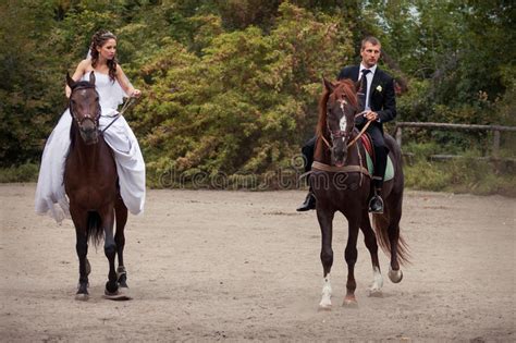 Wedding Couple On Horses Stock Photo Image Of Love Couple 44555868