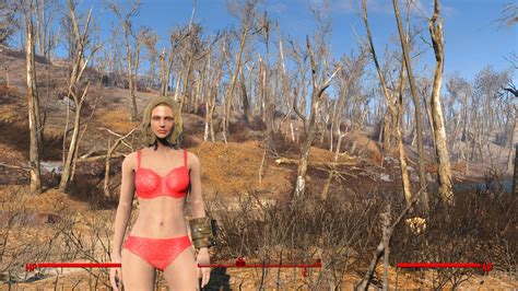 Fallout 4 Sexy Lingerie By Robinolsen2011