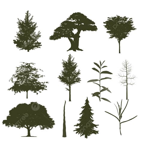 Tree Collection Silhouette Tree Silhouette Tree Collection Png