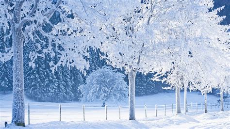 Snow Images Wallpaper High Definition High Quality Widescreen
