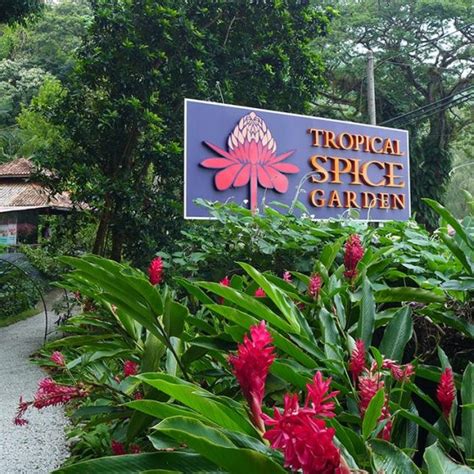 7 Beautiful Gardens You Can Visit In Malaysia