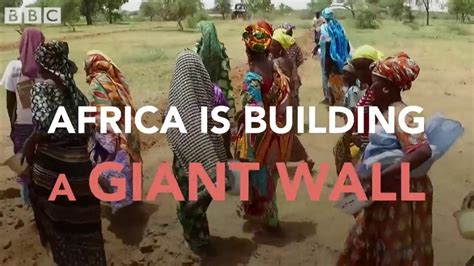 Why Is Africa Building A Great Green Wall Bbc News Youtube