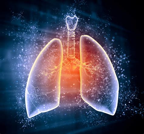 Uk Researchers Create Stem Cell Based “mini Lungs” For Lung Diseases