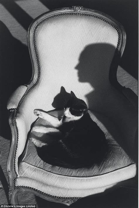 Henri Cartier Bresson 1908 2004 French The Great Cat
